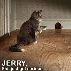 Meet your Posher, Damion